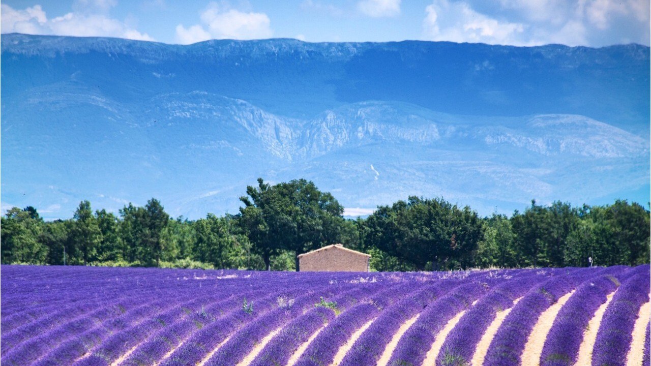 FEMME ACTUELLE - Alpes de Haute-Provence, voyage au cœur des senteurs provençales (1)