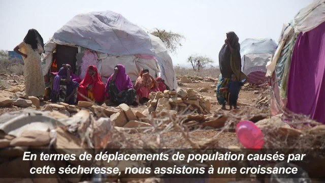 Somalie: 1 million d'enfants menacés de malnutrition (UNICEF)