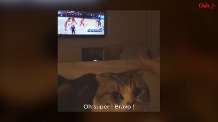 Gala.fr Mon chat et moi - Taylor Swift