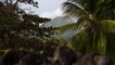 Martinique : à Saint-Pierre, sur les traces de l’éruption de la montagne Pelée [GEO 360°]