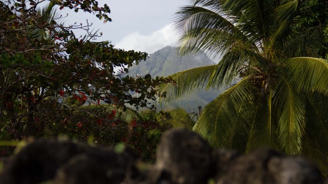 Martinique : à Saint-Pierre, sur les traces de l’éruption de la montagne Pelée [GEO 360°]