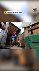 Kharkiv Zookeepers Relocate Lions to Safer Areas
