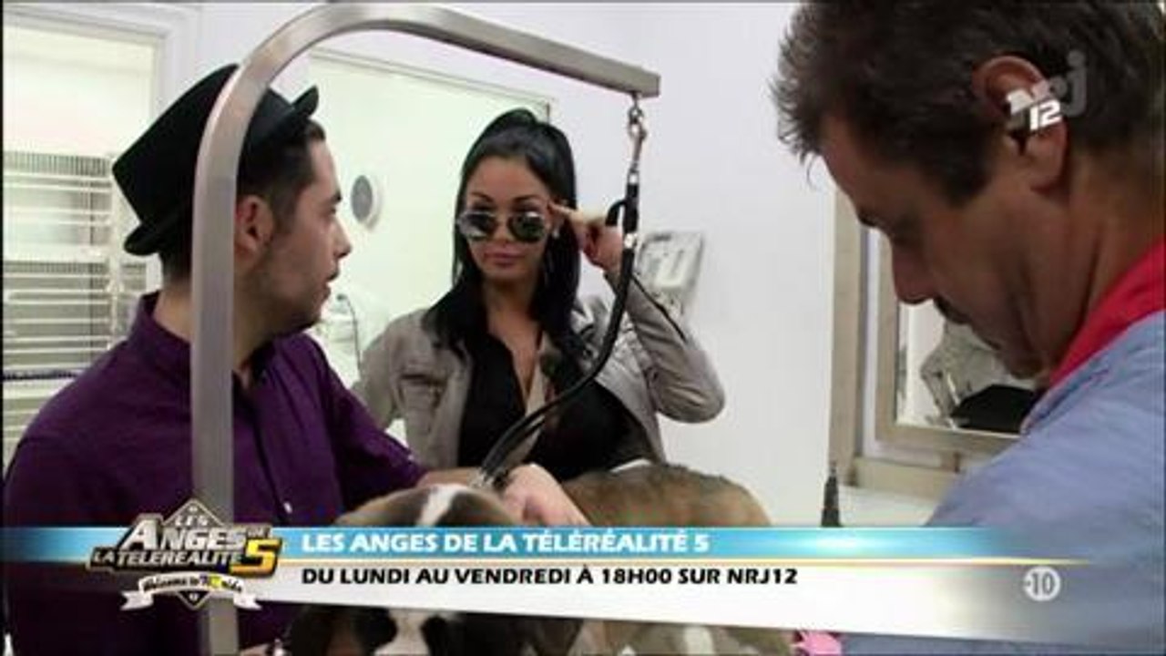 Les anges 5 - Manucure sur le chien