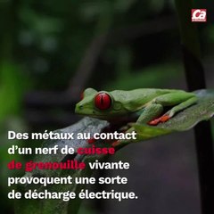 CAM - D'où vient le mot "pile" ?