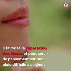 CAM - Tout savoir sur le miel de Manuka.