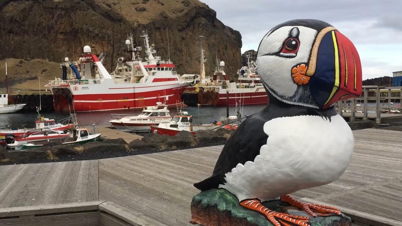 Islande : cap sur les îles Vestmann, Pompéi boréal [GEO]