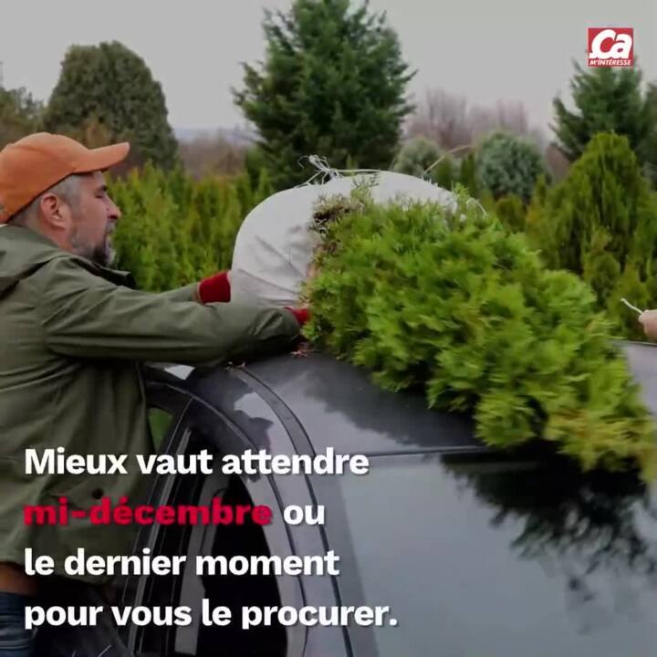 CAM - Comment garder un sapin plus longtemps  ?
