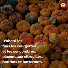 CAM - Quels légumes faut-il manger en automne ?
