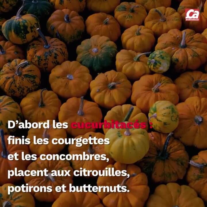 CAM - Quels légumes faut-il manger en automne ?