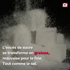 CAM - Quels sont les aliments à éviter pour le foie ?