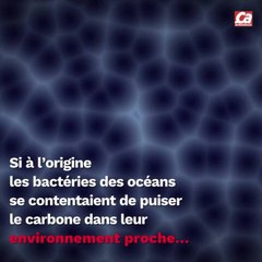 CAM - D'où vient l'oxygène ?