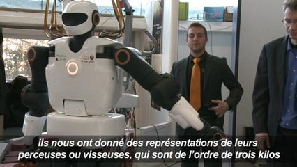 Il peut visser ou percer: le premier robot bricoleur est né