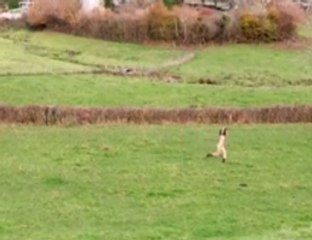 Doria Tillier rélève son pari et présente sa météo à Poil