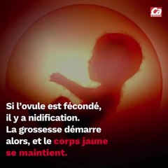 CAM - Comment calculer son cycle menstruel ?