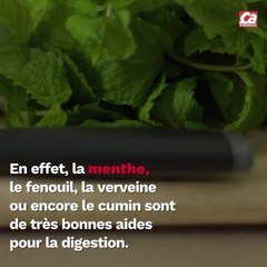CAM - Comment faciliter la digestion après un bon repas ?