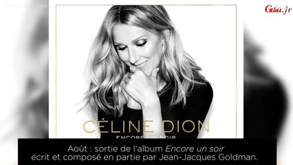 GALA VIDEO - La folle année de Céline Dion