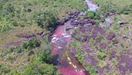 Une étonnante "rivière aux cinq couleurs" en Colombie