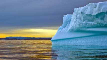 Au Groenland, dans le plus grand parc naturel du monde [GEO]