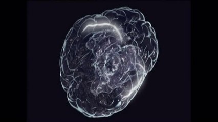 Pourquoi claque-t-on des dents ?