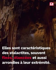 CAM - Quelle est la différence entre une stalactite et stalagmite ?