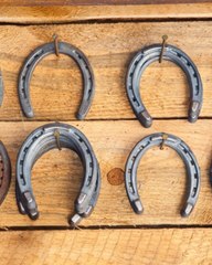 CAM - Pourquoi faut-il ferrer un cheval ?