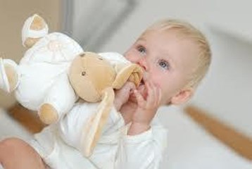 Comment enlever les microbes du doudou de votre enfant ?