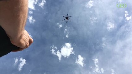 La Camargue vue de drone [GEO]