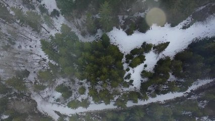 Sur les sentiers du JURA