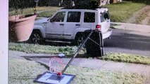 Woman Crawls Through Fallen Basketball Hoop