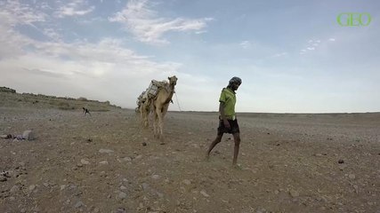 Avec les Afars du Danakil, en Ethiopie [GEO]