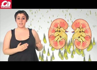 Pourquoi l'alcool ça déshydrate ?