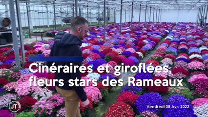 Le Journal - 08/04/2022 - ENVIRONNEMENT / Comment combattre le gel sans polluer ?