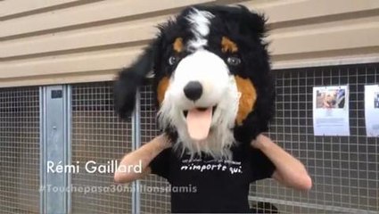 Gala.fr - Les stars se mobilisent contre la fin de l'émission 30 Millions d'Amis