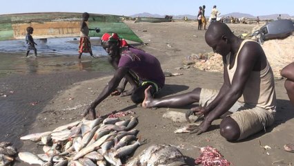 Filets, camouflage et AK-47: les pêcheurs oubliés du Turkana