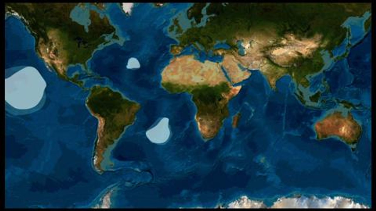 Le continent poubelle