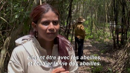 Du miel pour "panser" les blessures de guerre d'un village de Colombie