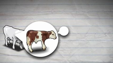 Les organismes génétiquement modifiés