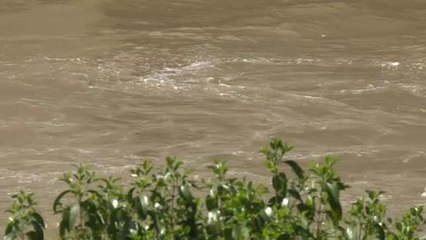 Paris-2024: Hidalgo promet des bains dans la Seine en cas de JO