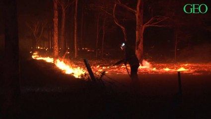 Incendies en Australie : un bilan catastrophique