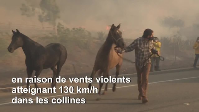 Nouveaux départs de feu en Californie, où les évacuations préventives évitent le pire