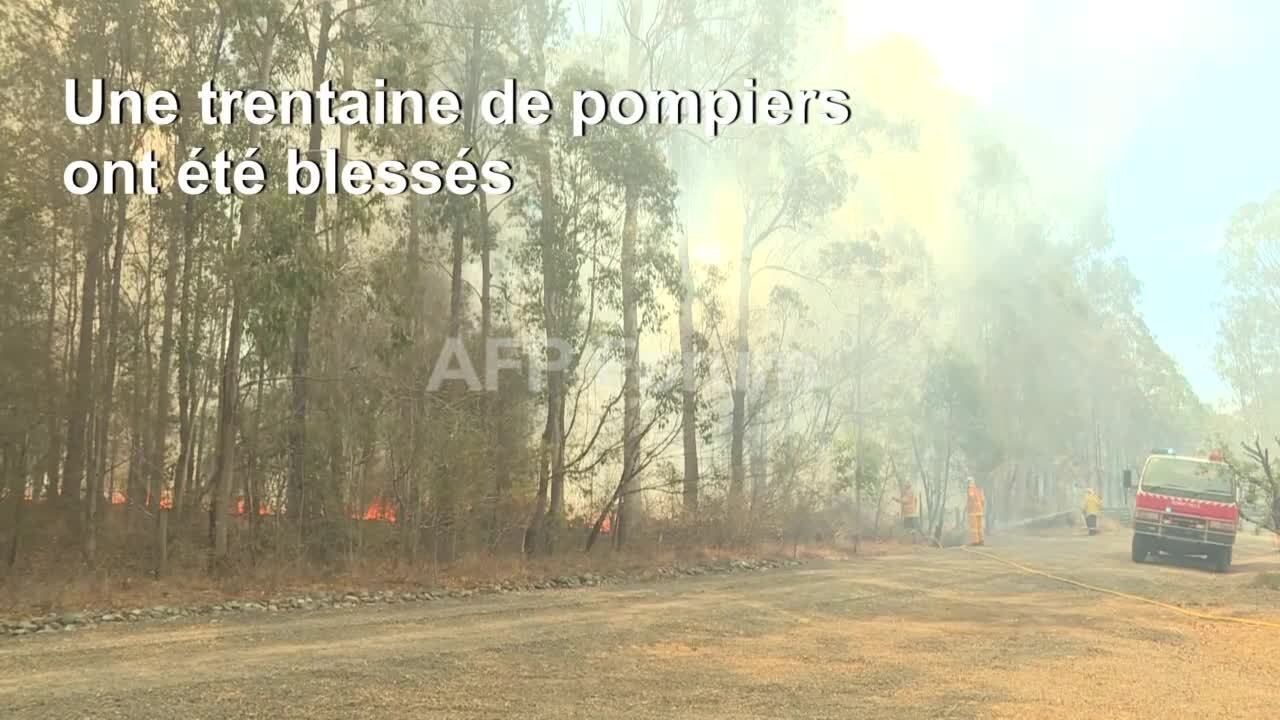 L'Est de l'Australie toujours en feu, 3 morts, 150 maisons brûlées