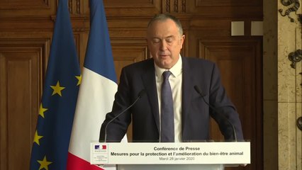 La France veut interdire le broyage des poussins et la castration à vif des porcelets fin 2021