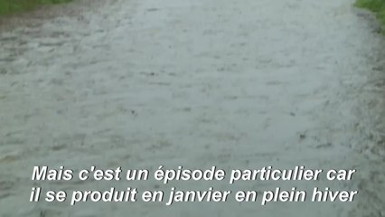 Tempête Gloria: deux fleuves débordent dans le sud, plus de 1.500 évacuations