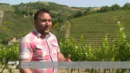 Le pecorino, le vin blanc star italien revenu d'entre les morts