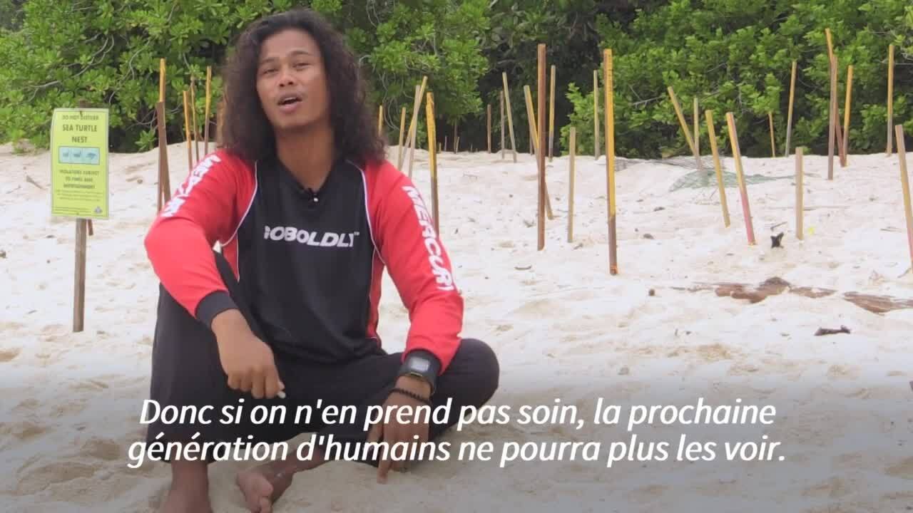 Un pilleur de nids devenu protecteur des tortue...