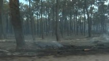 Feu de forêt maîtrisé à Anglet, 165 hectares détruits, enquête ouverte