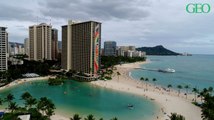 Hawaii : des nuits d’hôtel offertes en échange... de bénévolat !