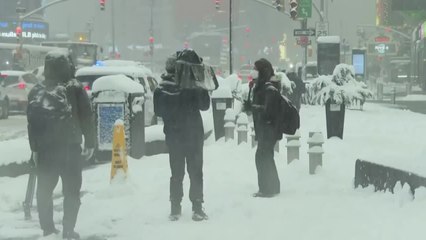 Le nord-est des Etats-Unis pris dans le blizzard
