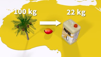 Huile de palme: Greenpeace attaque l'autorisation d'exploitation d'une raffinerie de Total