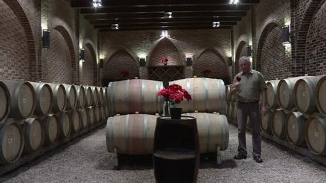 En Egypte, le vin des Pharaons cherche encore à s'imposer